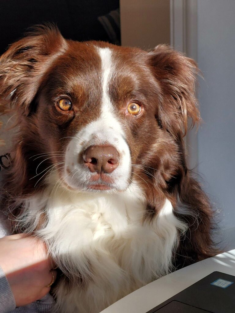 SPIKE