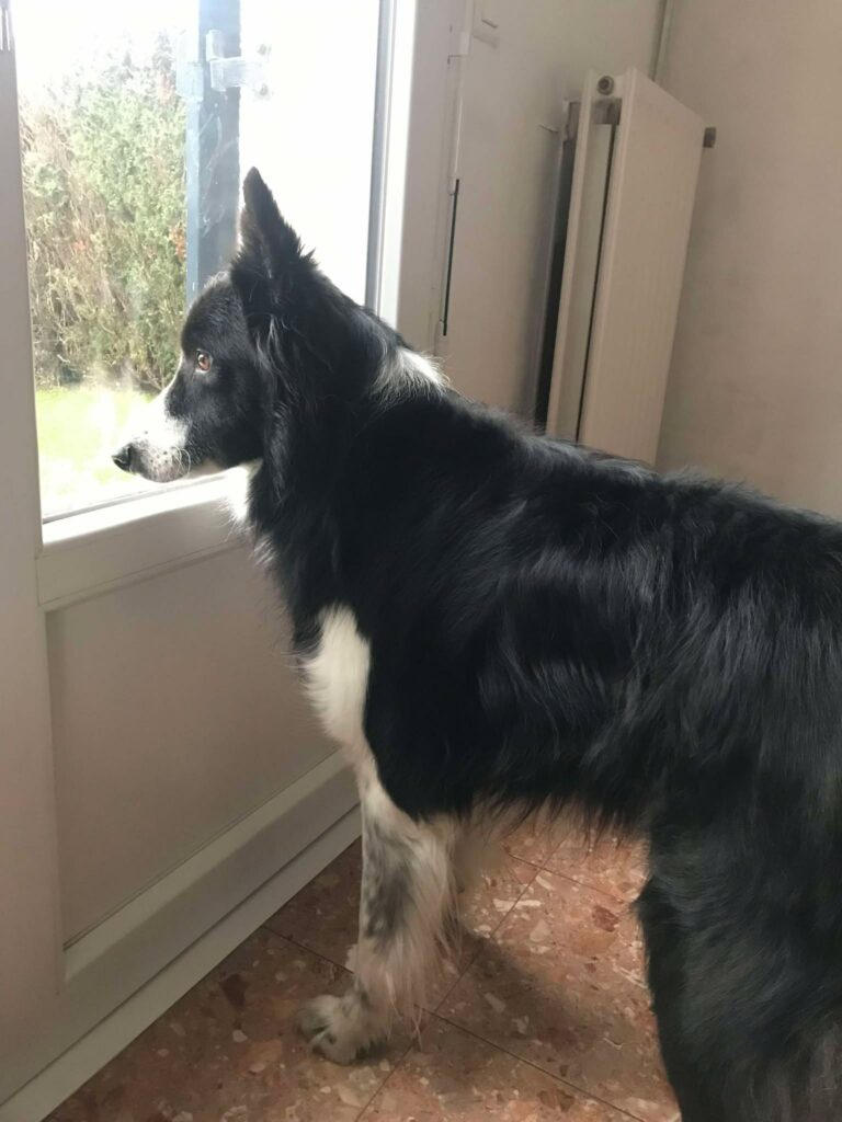 RÉSERVÉ-HOPPER