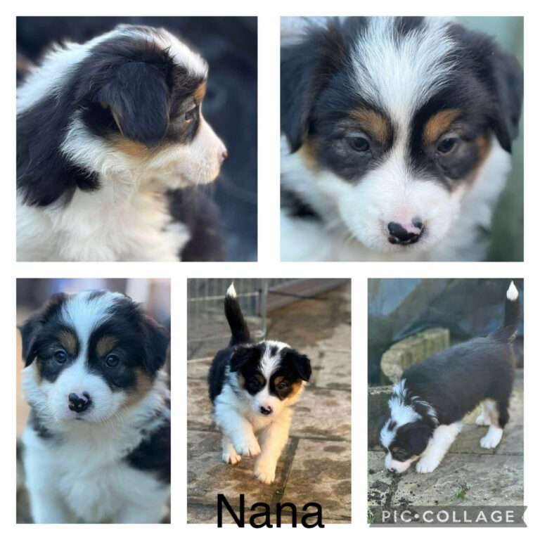 RÉSERVÉE-Nana