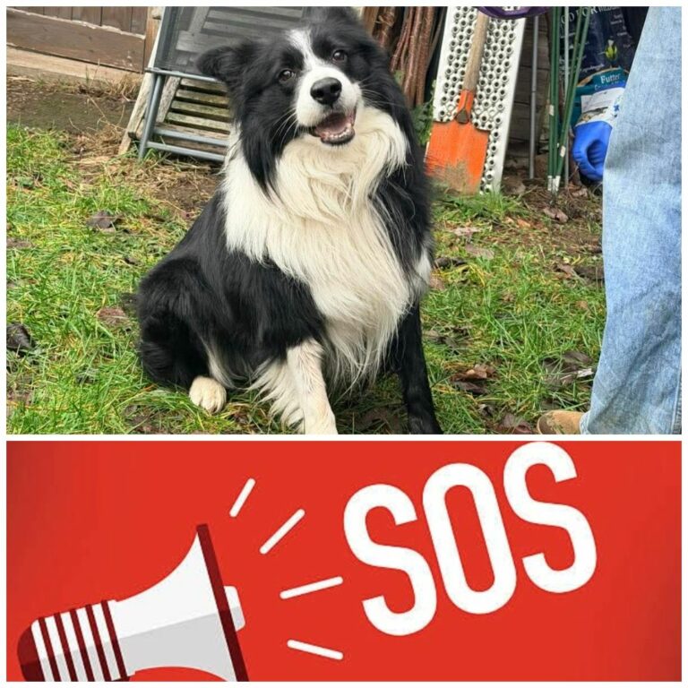 RÉSERVÉ