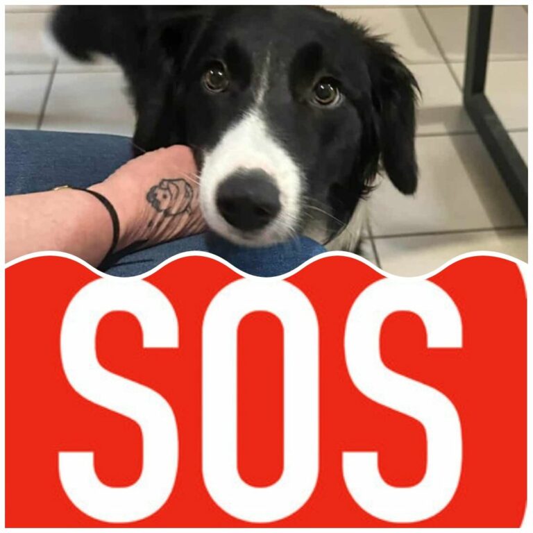 RÉSOLU ! SOS