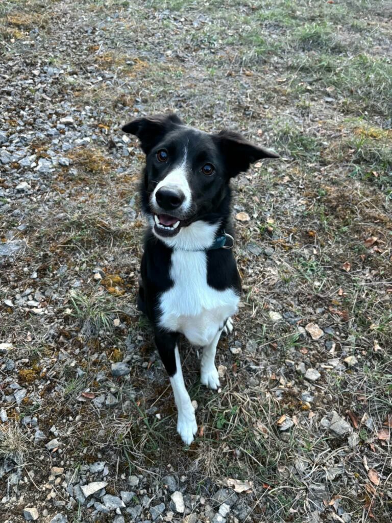 TIYA