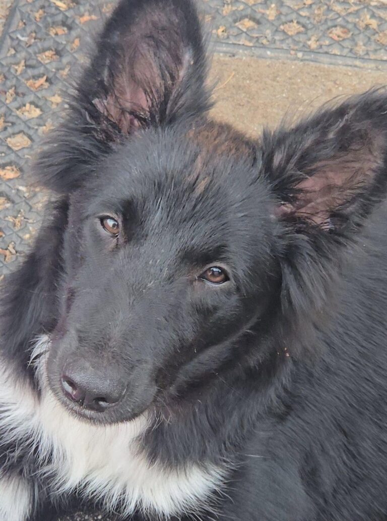 Bounty